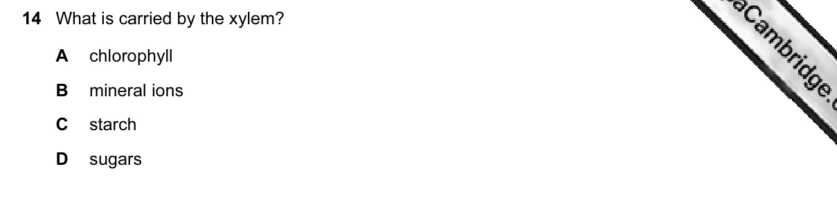 Question 14, March 2015, 0610 Paper 12