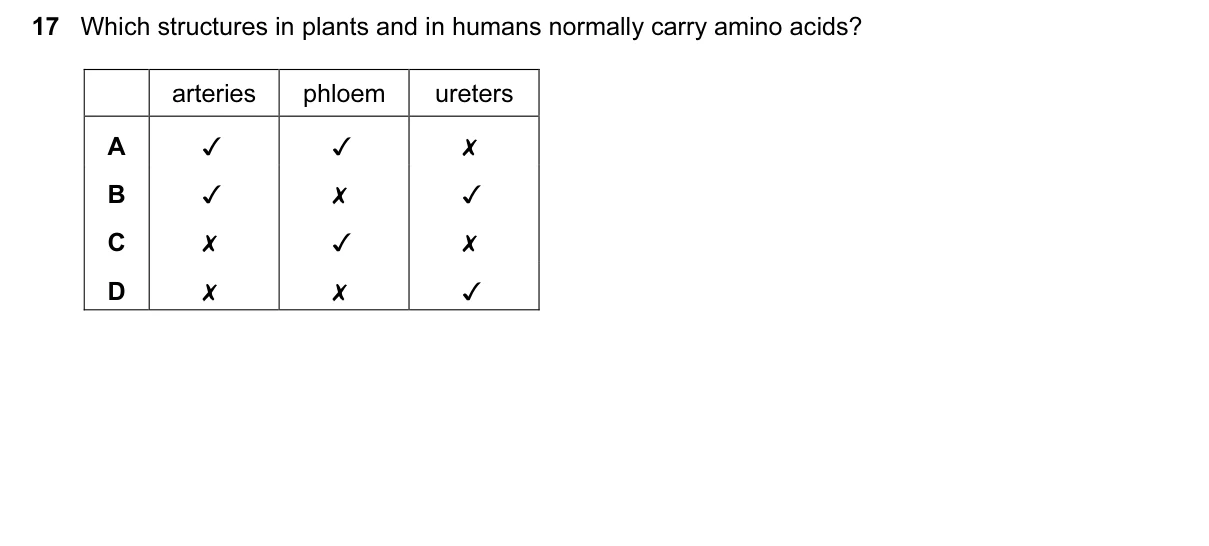 Question 17, March 2015, 0610 Paper 12