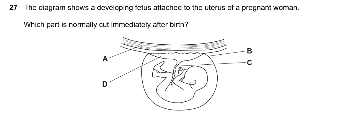 Question 27, March 2015, 0610 Paper 12