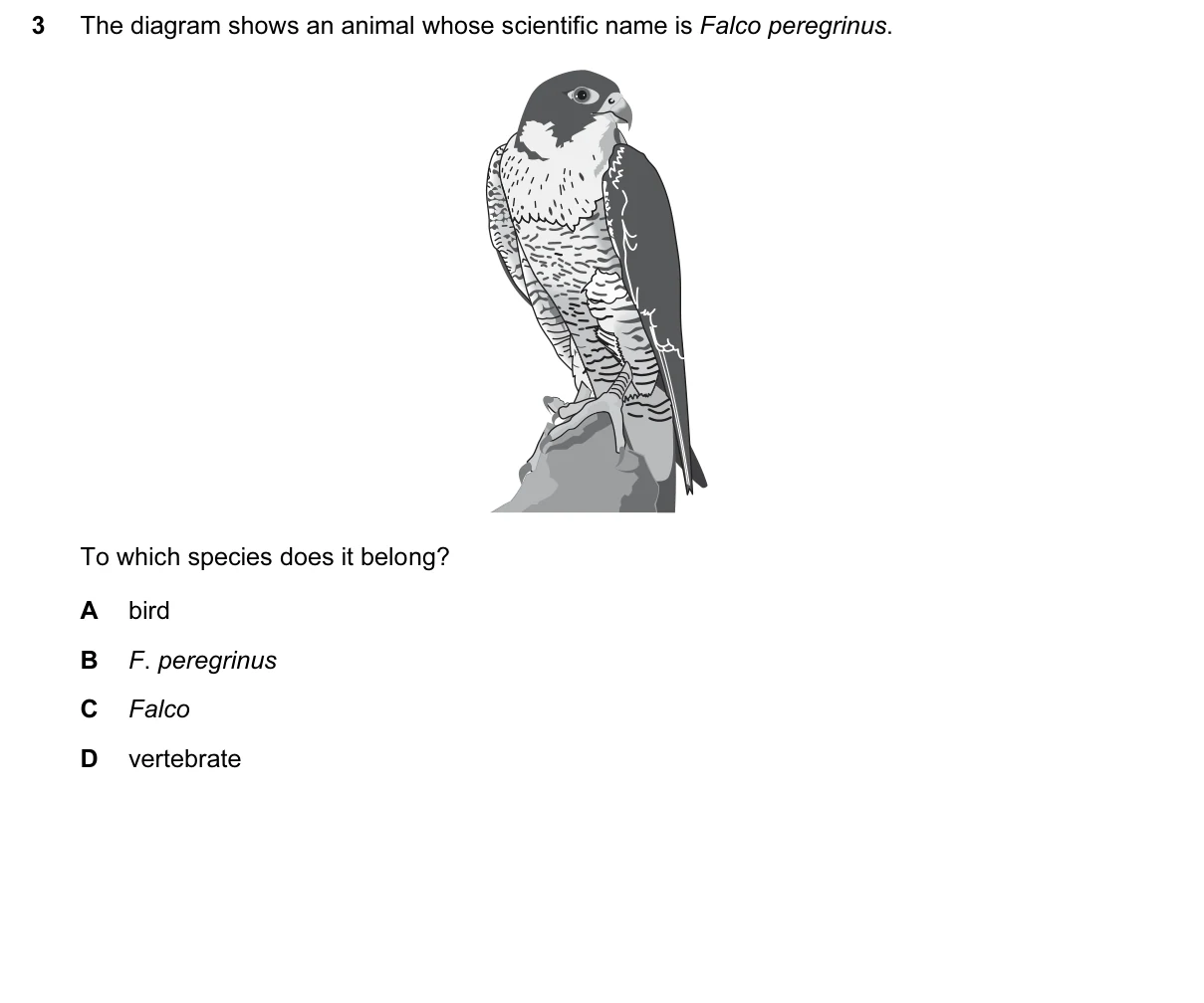 Question 3, March 2015, 0610 Paper 12