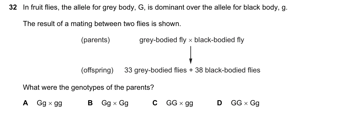 Question 32, March 2015, 0610 Paper 12