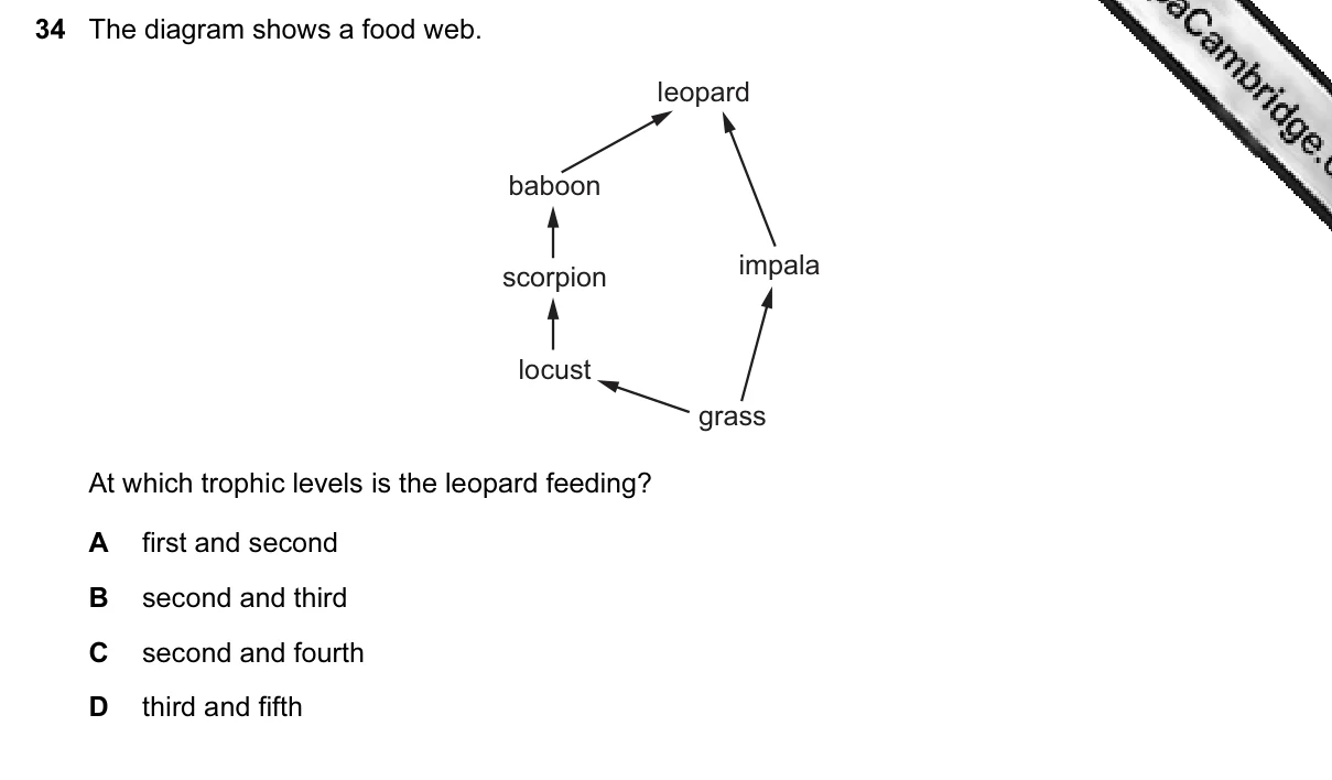 Question 34, March 2015, 0610 Paper 12