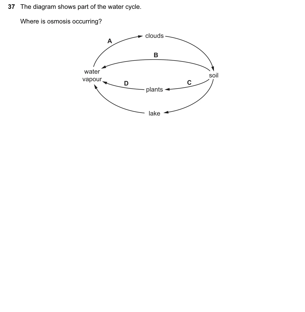 Question 37, March 2015, 0610 Paper 12