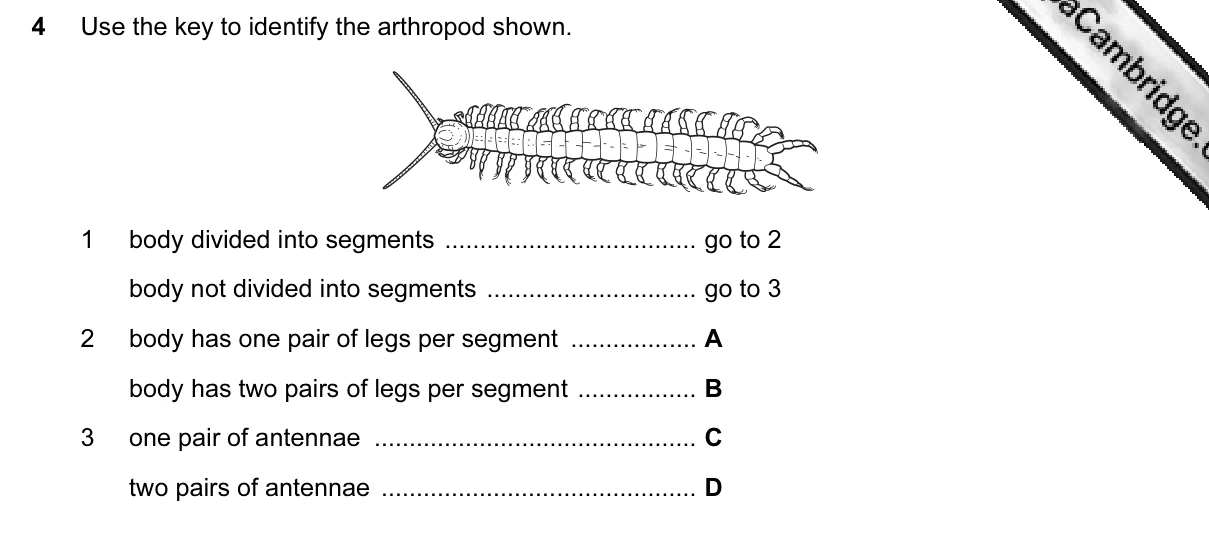 Question 4, March 2015, 0610 Paper 12