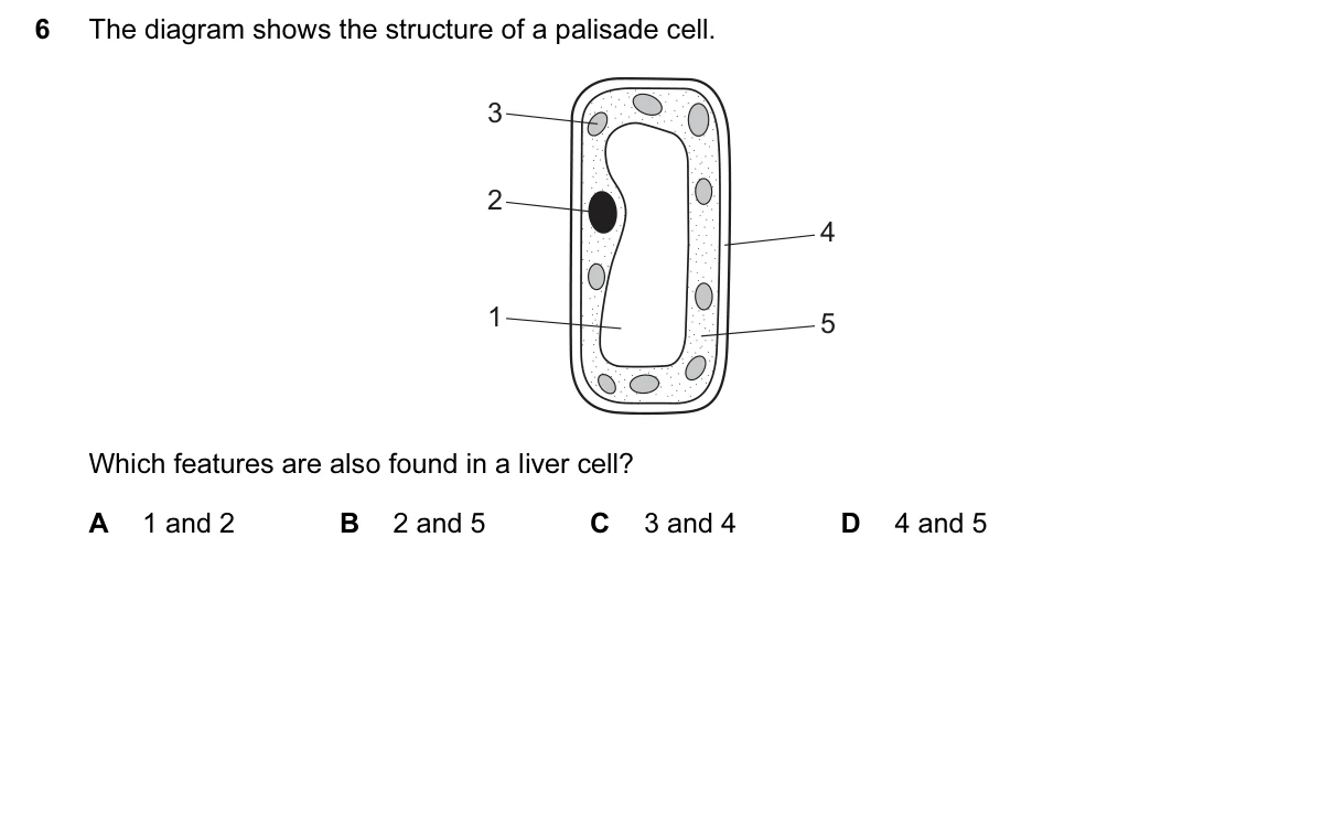 Question 6, March 2015, 0610 Paper 12