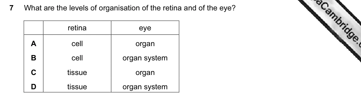 Question 7, March 2015, 0610 Paper 12