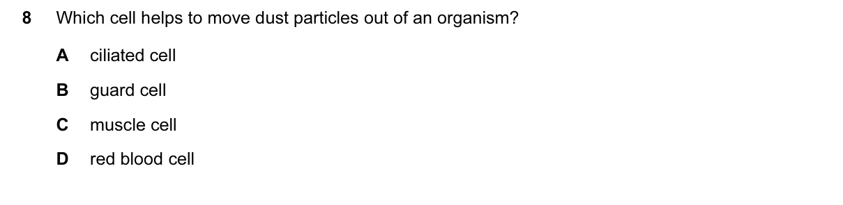 Question 8, March 2015, 0610 Paper 12