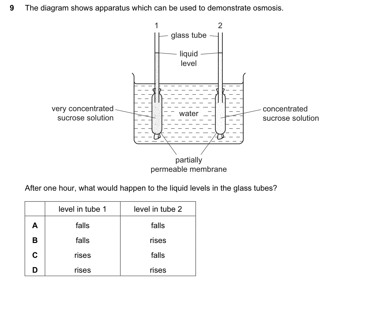 Question 9, March 2015, 0610 Paper 12