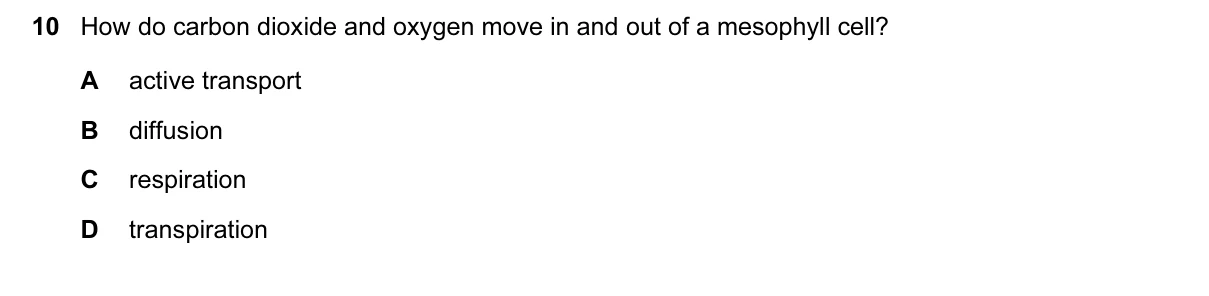 Question 10, June 2015, 0610 Paper 11