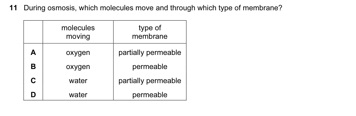 Question 11, June 2015, 0610 Paper 11