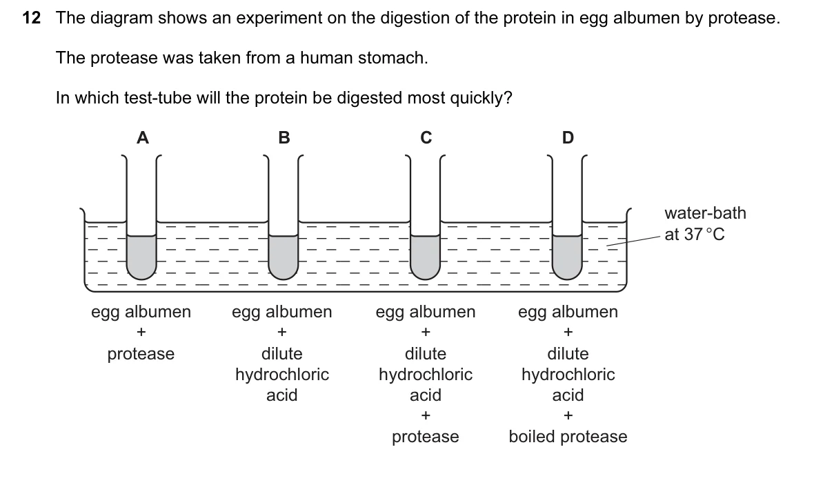Question 12, June 2015, 0610 Paper 11
