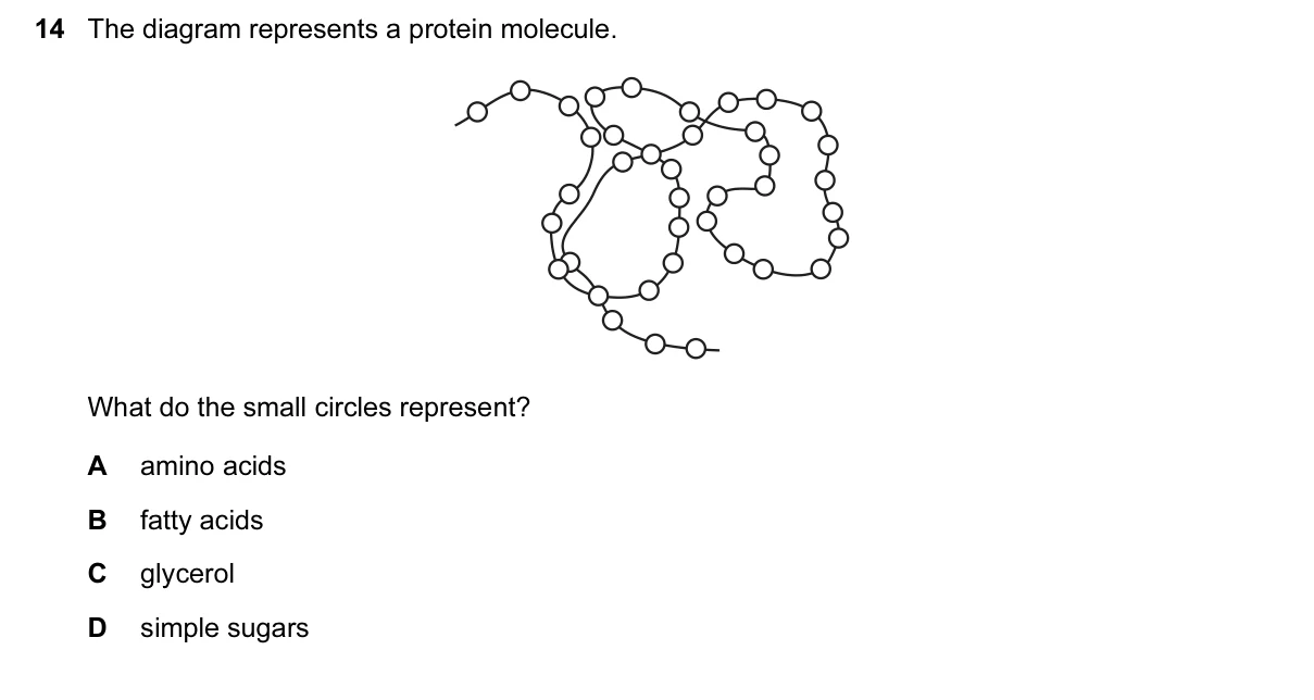 Question 14, June 2015, 0610 Paper 11