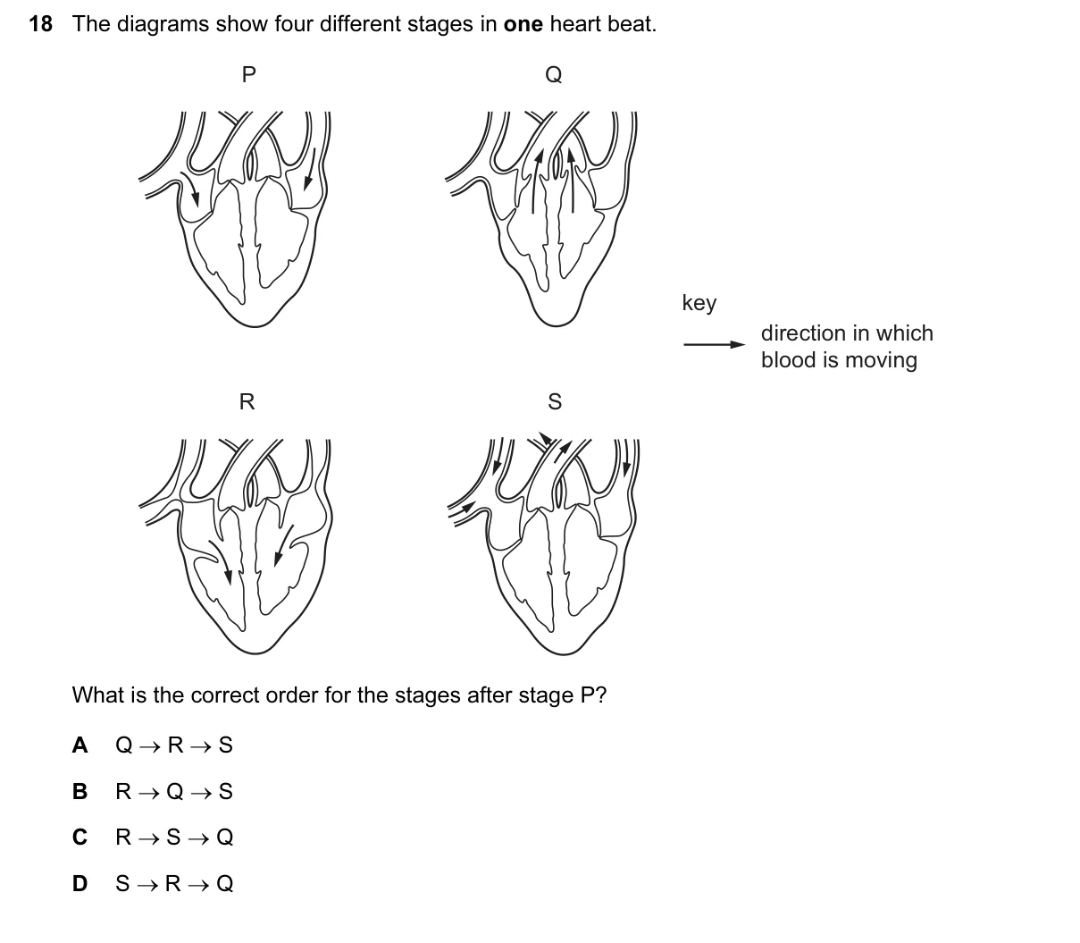 Question 18, June 2015, 0610 Paper 11