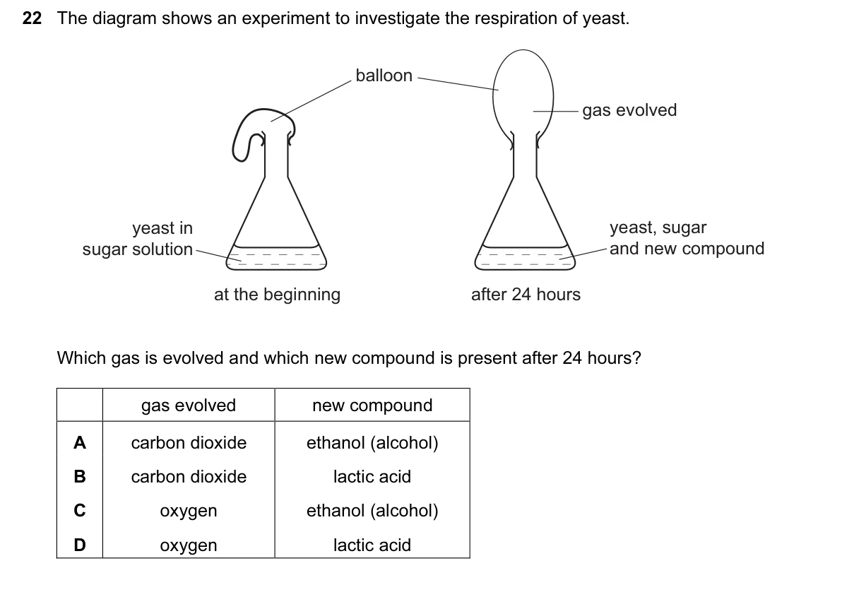 Question 22, June 2015, 0610 Paper 11