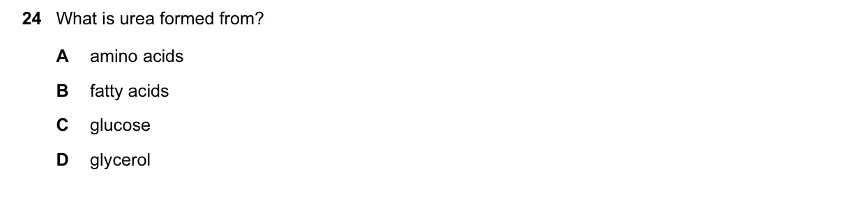 Question 24, June 2015, 0610 Paper 11