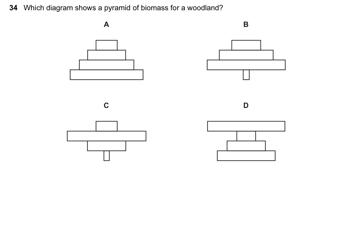 Question 34, June 2015, 0610 Paper 11