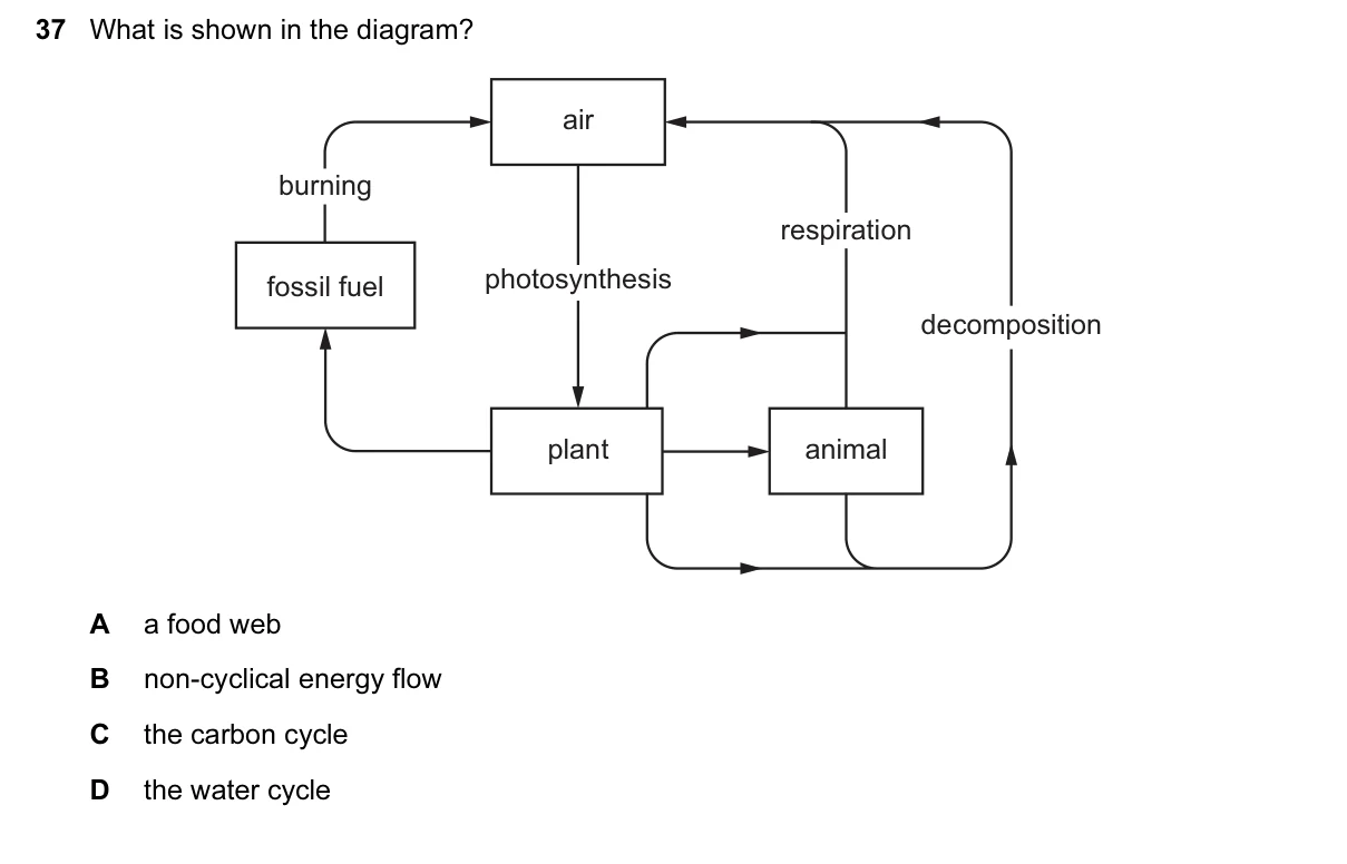Question 37, June 2015, 0610 Paper 11