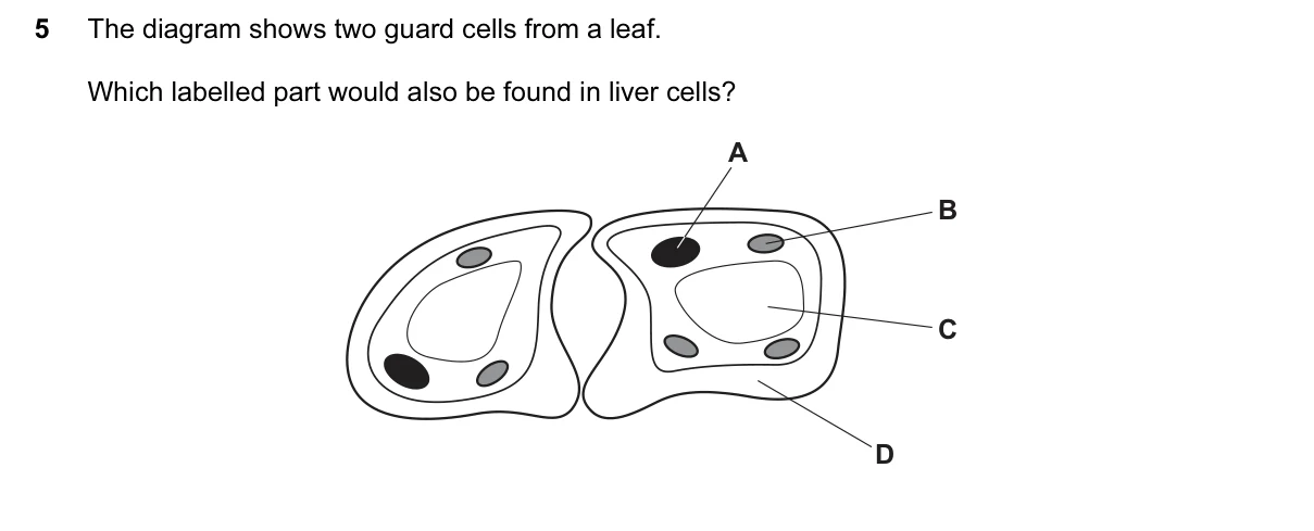 Question 5, June 2015, 0610 Paper 11