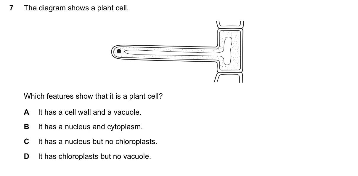 Question 7, June 2015, 0610 Paper 11