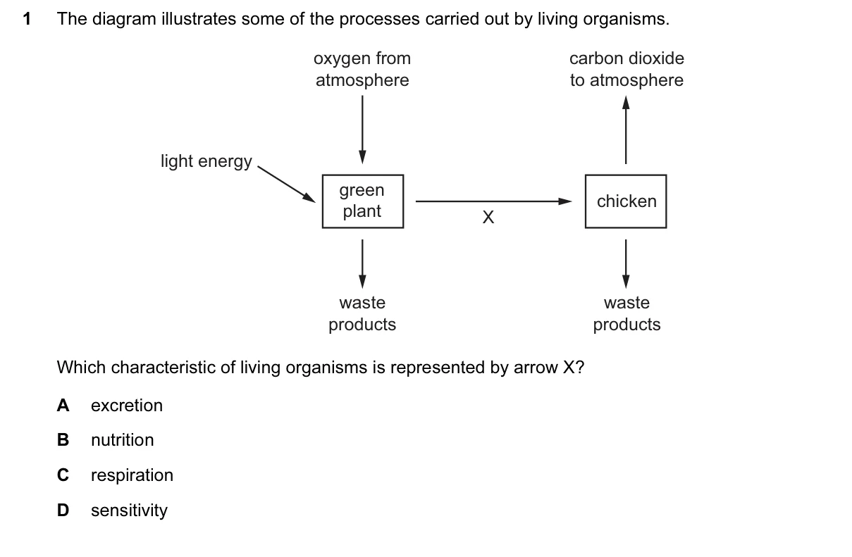 Question 1, June 2015, 0610 Paper 13