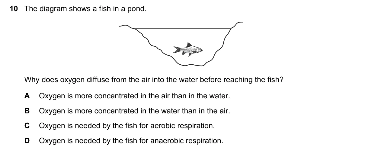 Question 10, November 2015, 0610 Paper 11