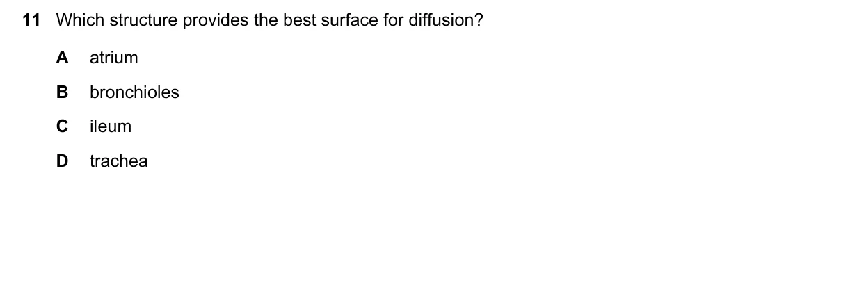 Question 11, November 2015, 0610 Paper 11