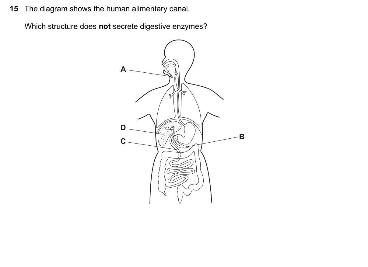 Question 15, November 2015, 0610 Paper 11