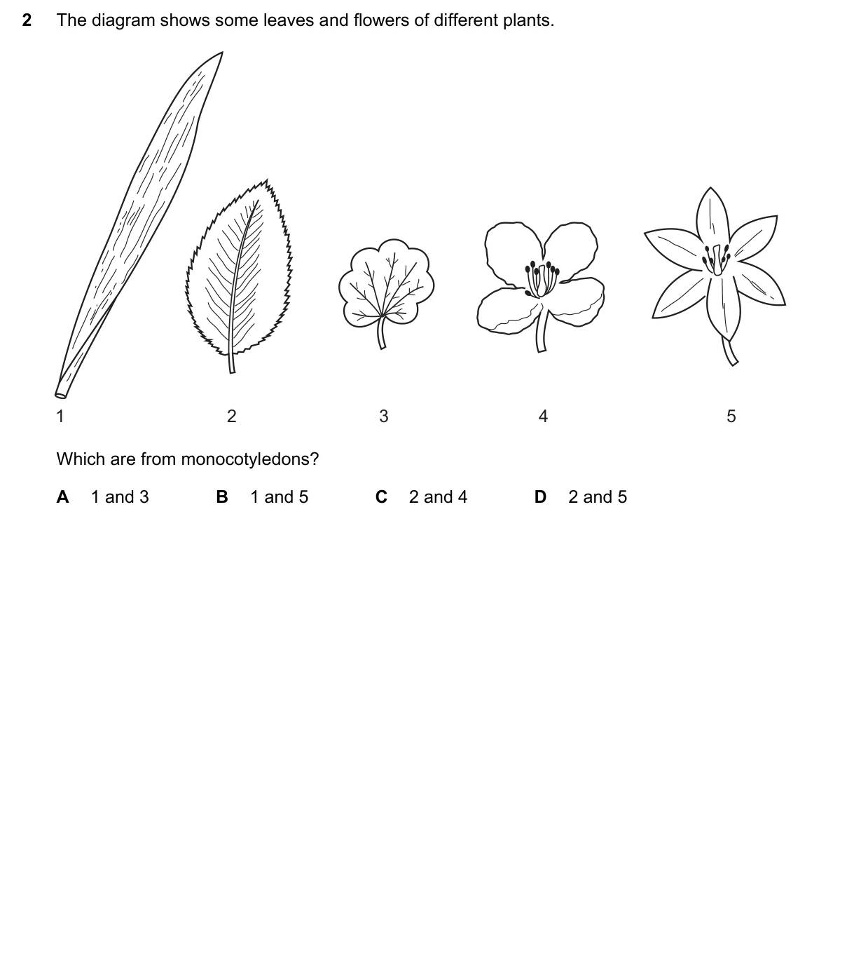 Question 2, November 2015, 0610 Paper 11