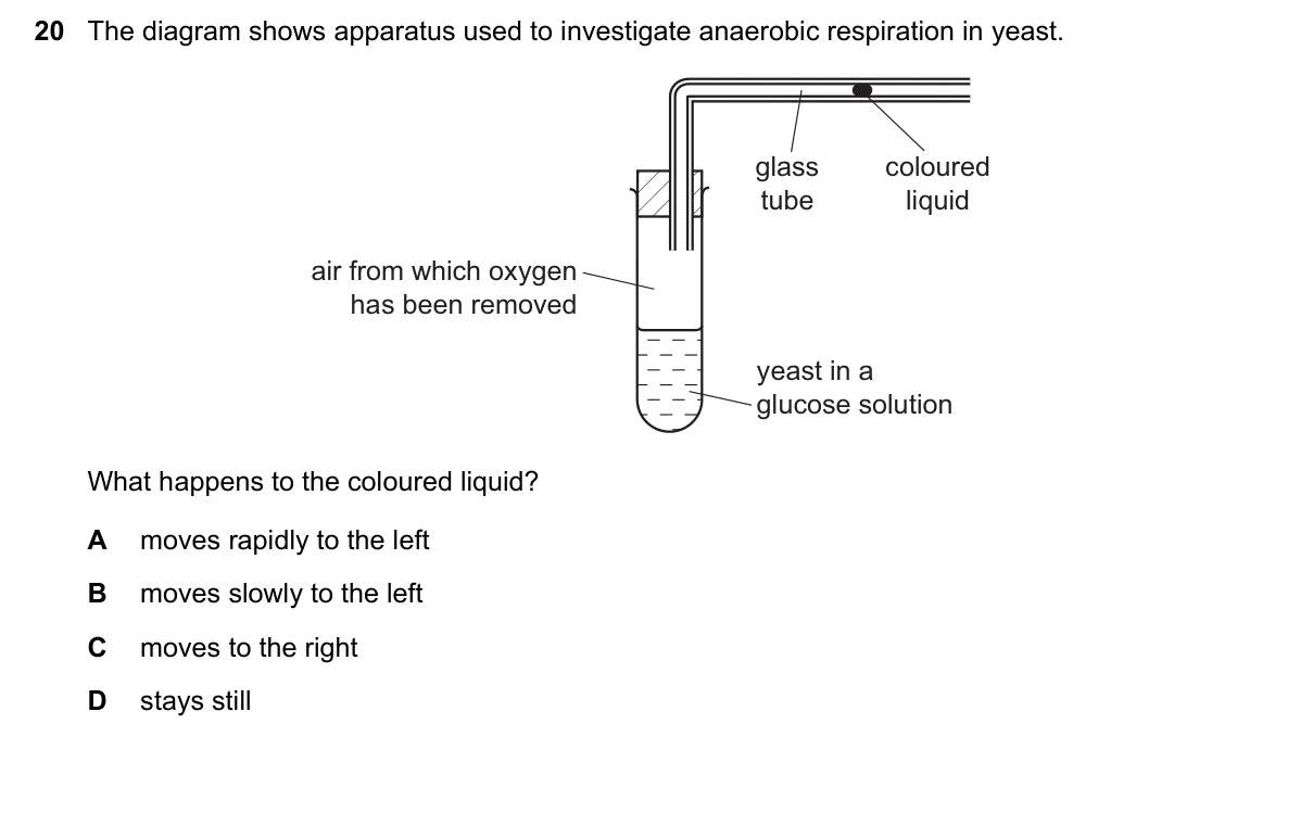 Question 20, November 2015, 0610 Paper 11