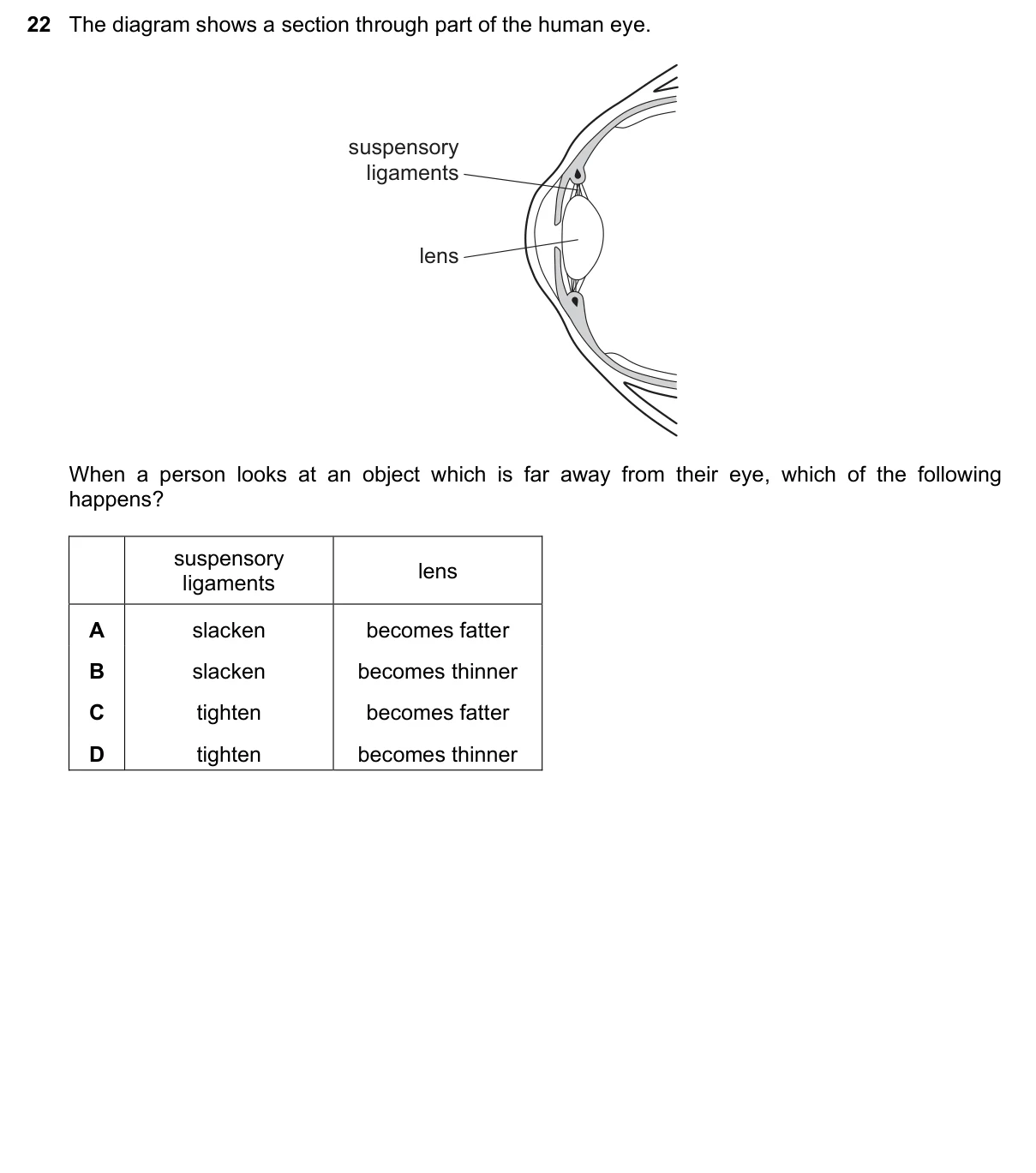 Question 22, November 2015, 0610 Paper 11
