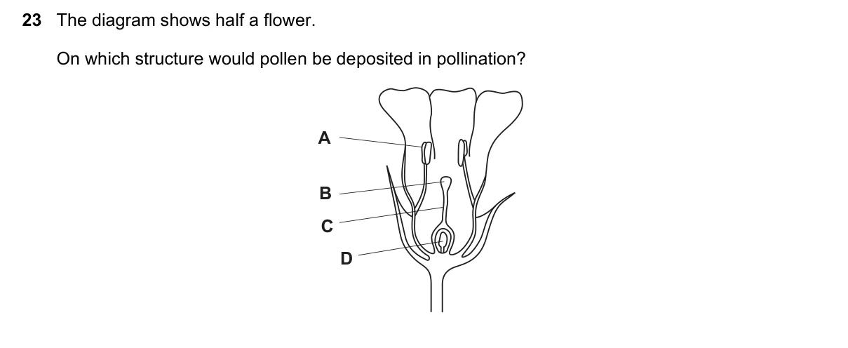 Question 23, November 2015, 0610 Paper 11