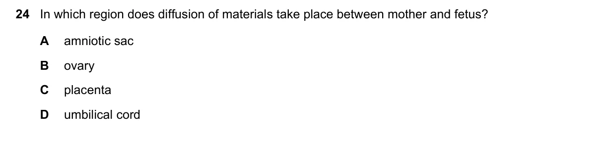 Question 24, November 2015, 0610 Paper 11