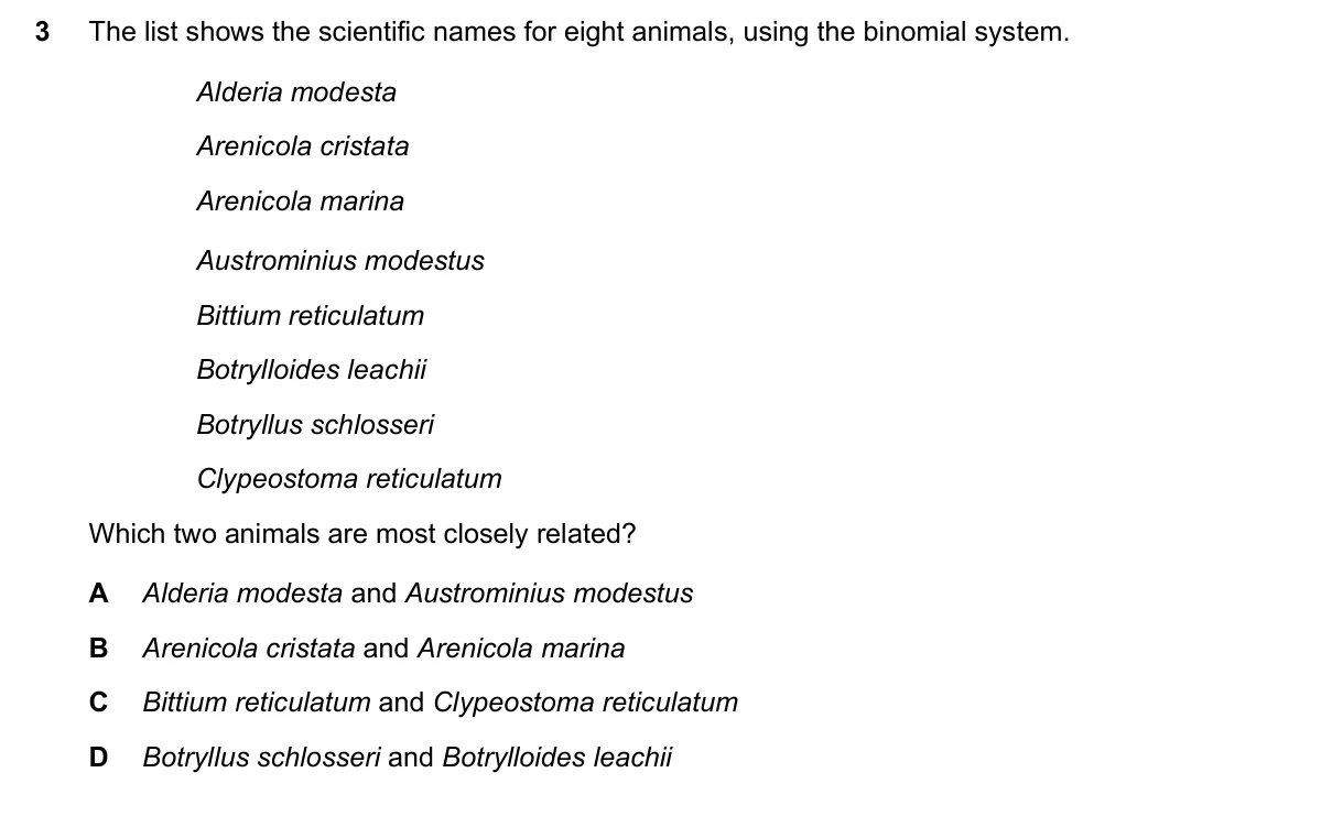 Question 3, November 2015, 0610 Paper 11