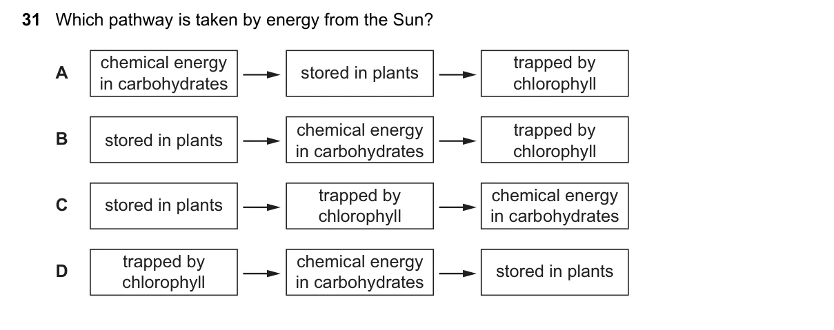 Question 31, November 2015, 0610 Paper 11