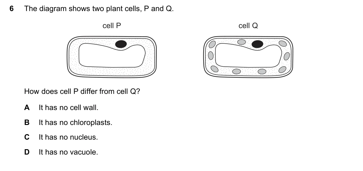 Question 6, November 2015, 0610 Paper 11