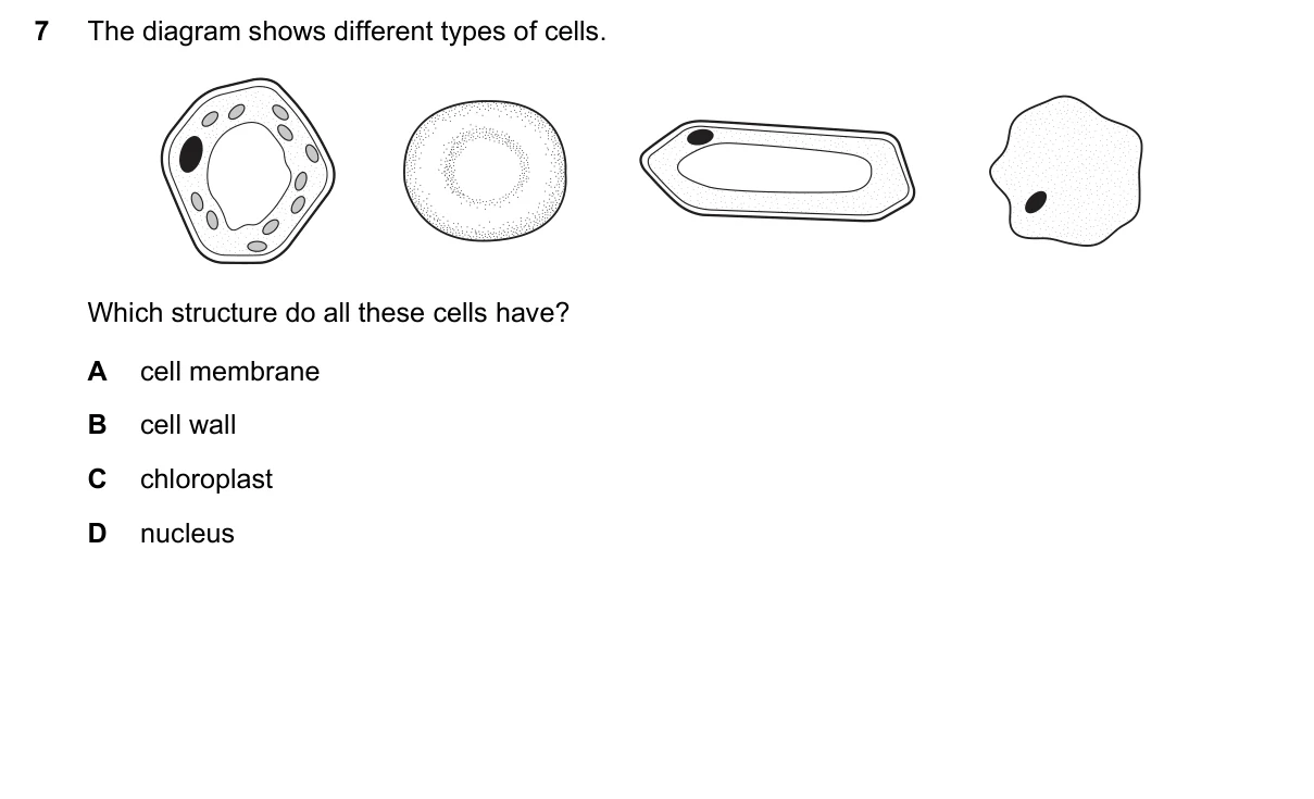 Question 7, November 2015, 0610 Paper 11