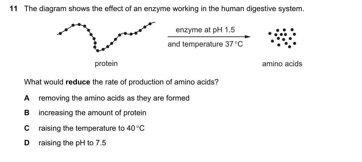 Question 11, November 2015, 0610 Paper 12