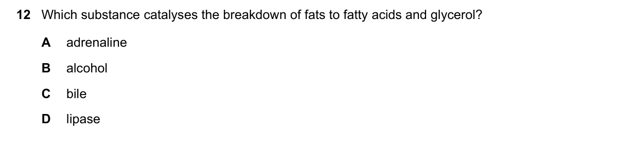 Question 12, November 2015, 0610 Paper 12