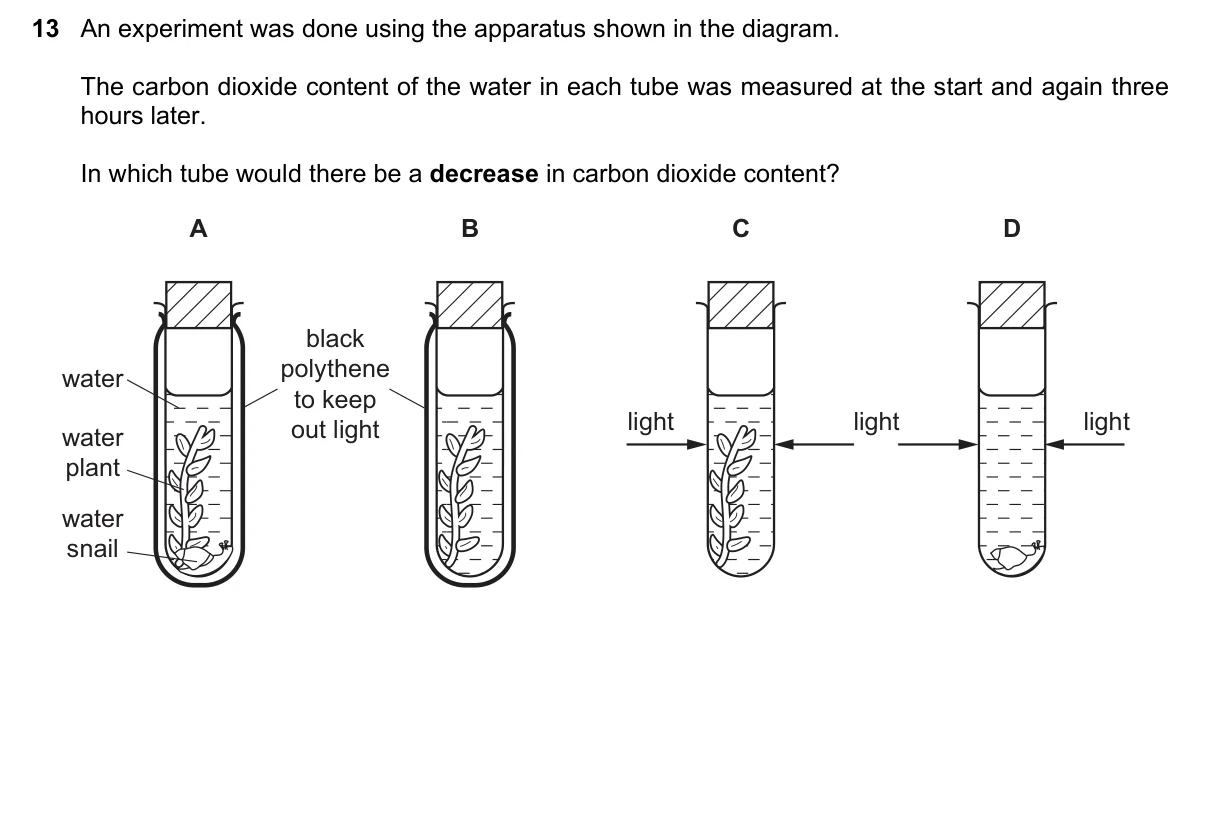 Question 13, November 2015, 0610 Paper 12