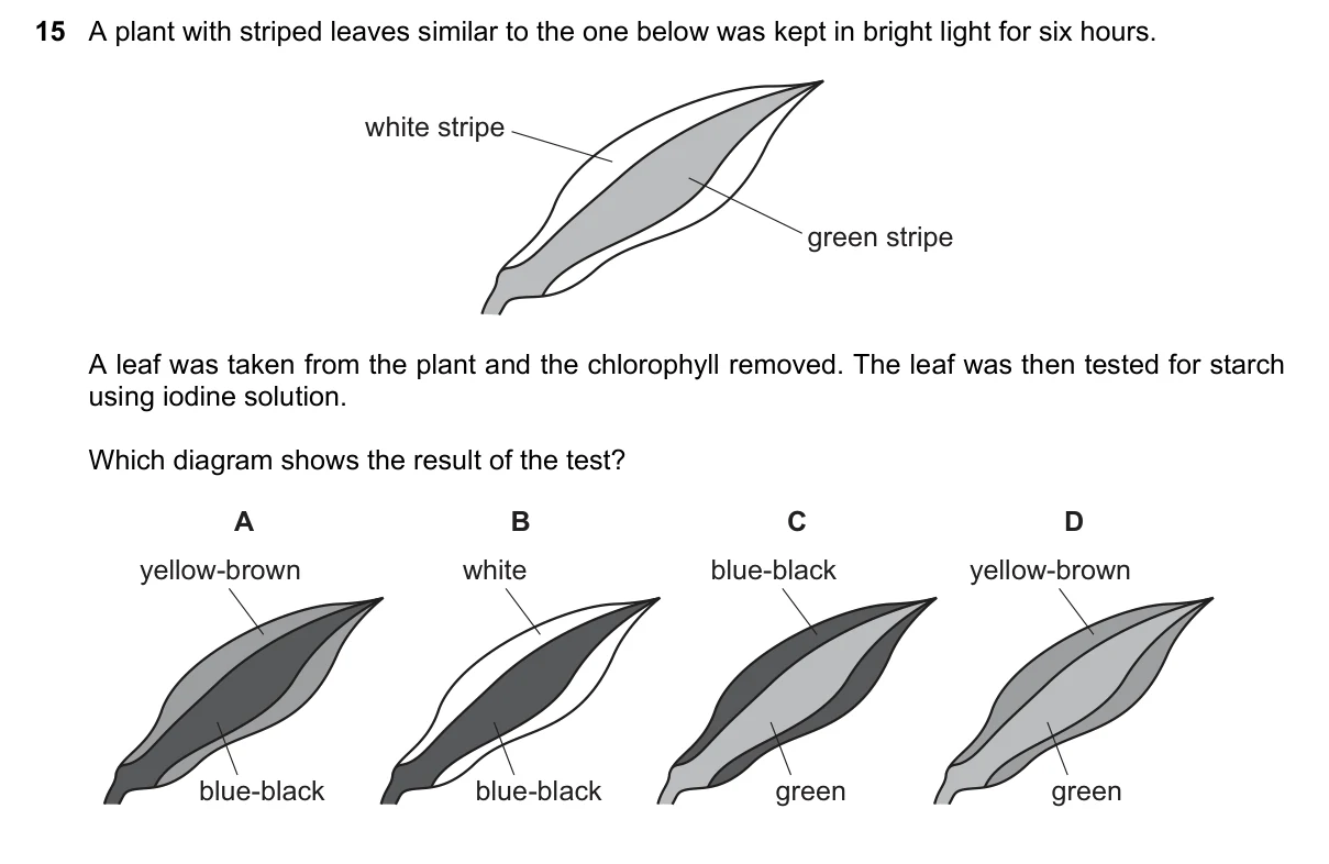 Question 15, November 2015, 0610 Paper 12