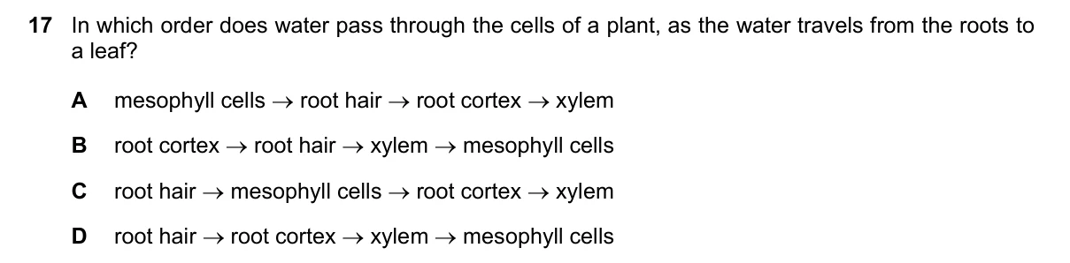 Question 17, November 2015, 0610 Paper 12