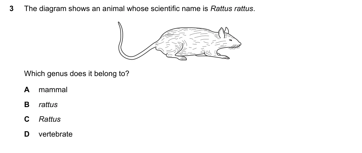 Question 3, November 2015, 0610 Paper 12