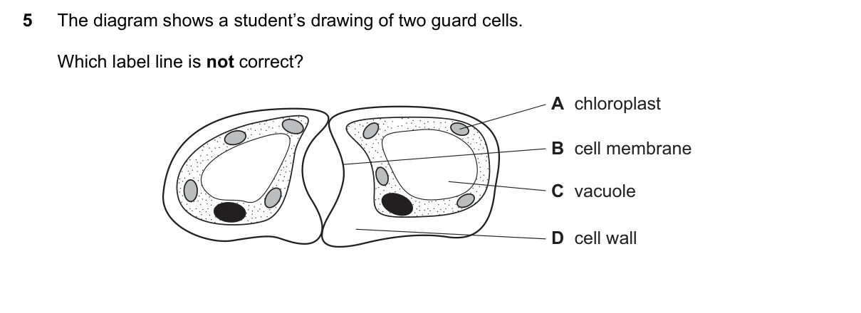 Question 5, November 2015, 0610 Paper 12