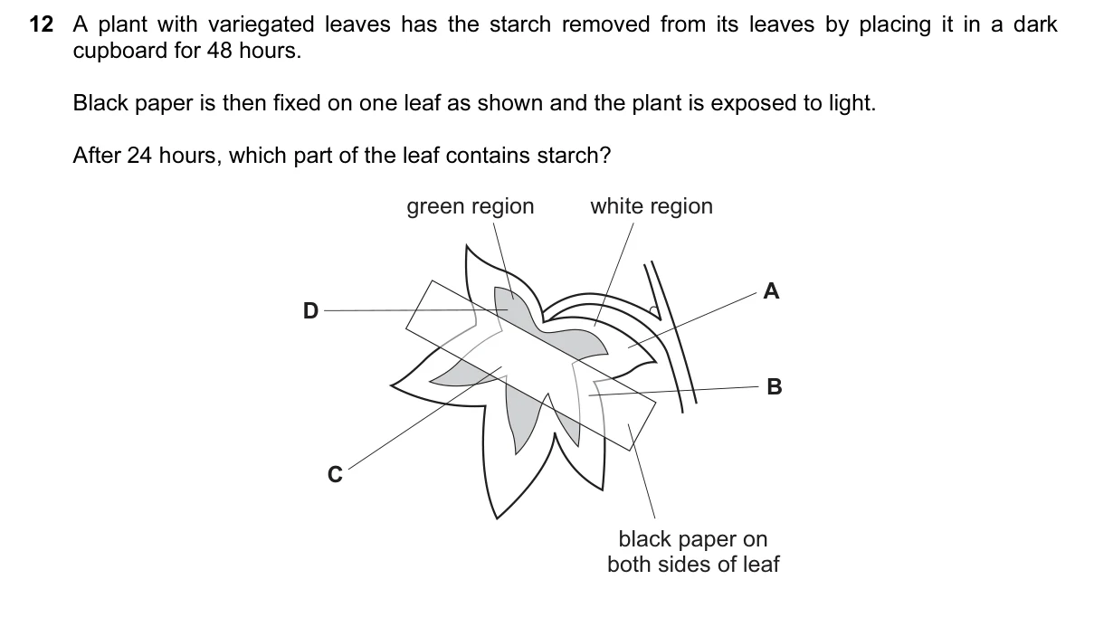 Question 12, March 2016, 0610 Paper 12