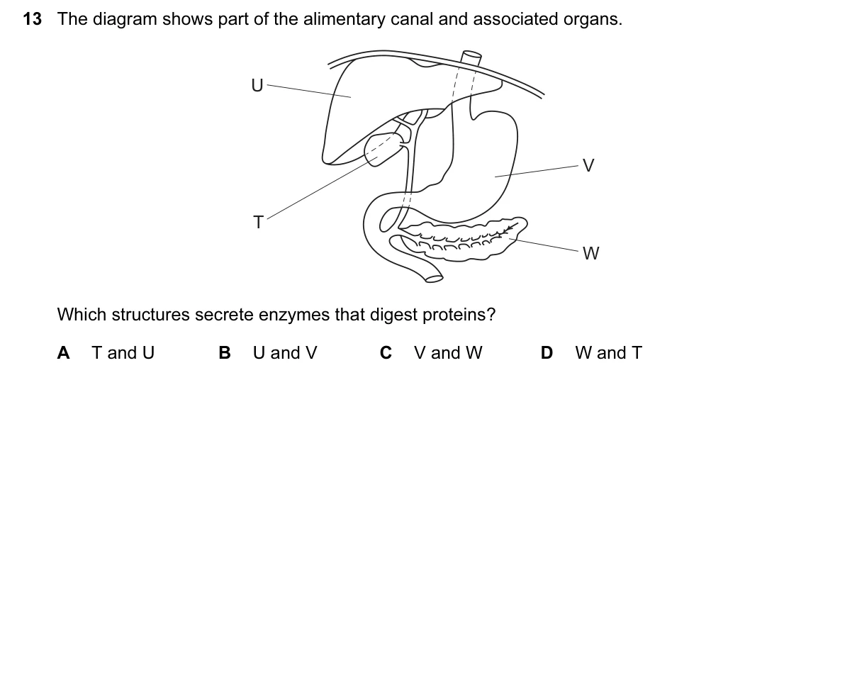 Question 13, March 2016, 0610 Paper 12