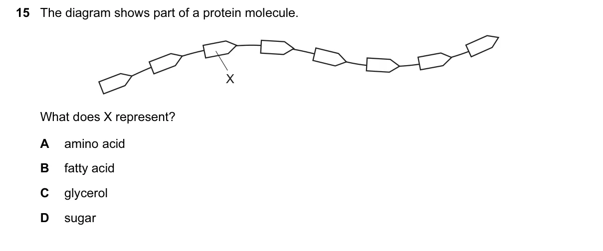 Question 15, March 2016, 0610 Paper 12