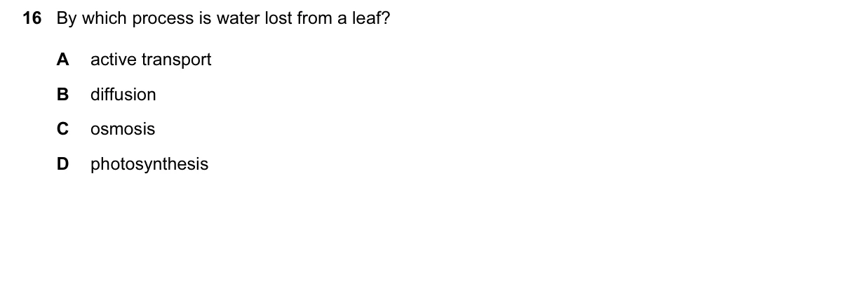 Question 16, March 2016, 0610 Paper 12