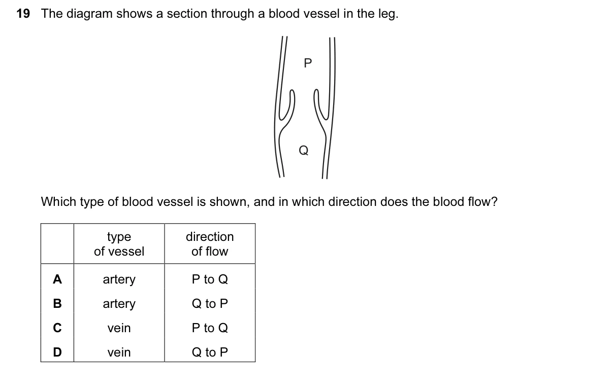 Question 19, March 2016, 0610 Paper 12