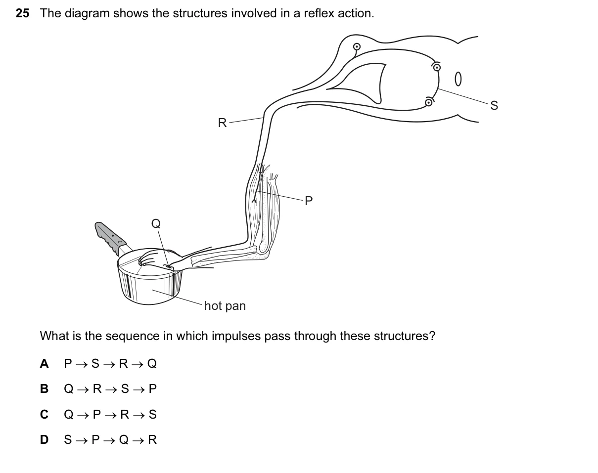 Question 25, March 2016, 0610 Paper 12