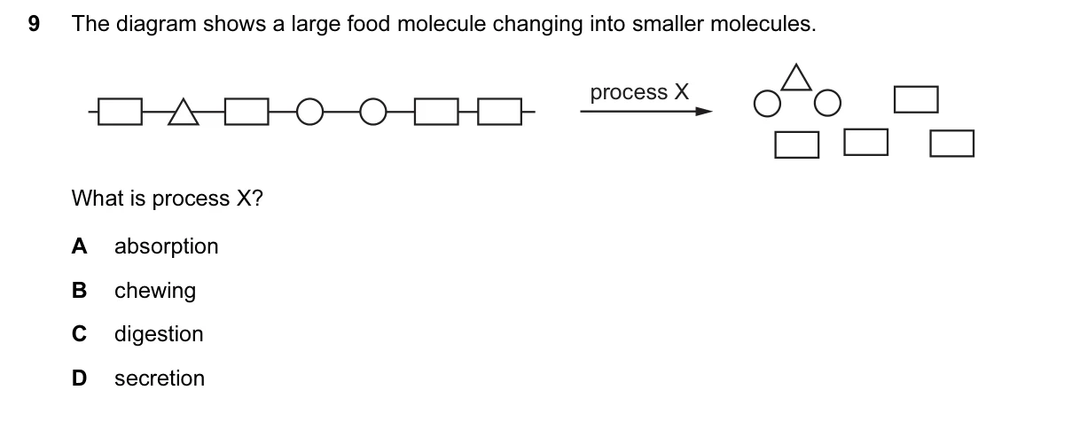 Question 9, March 2016, 0610 Paper 12